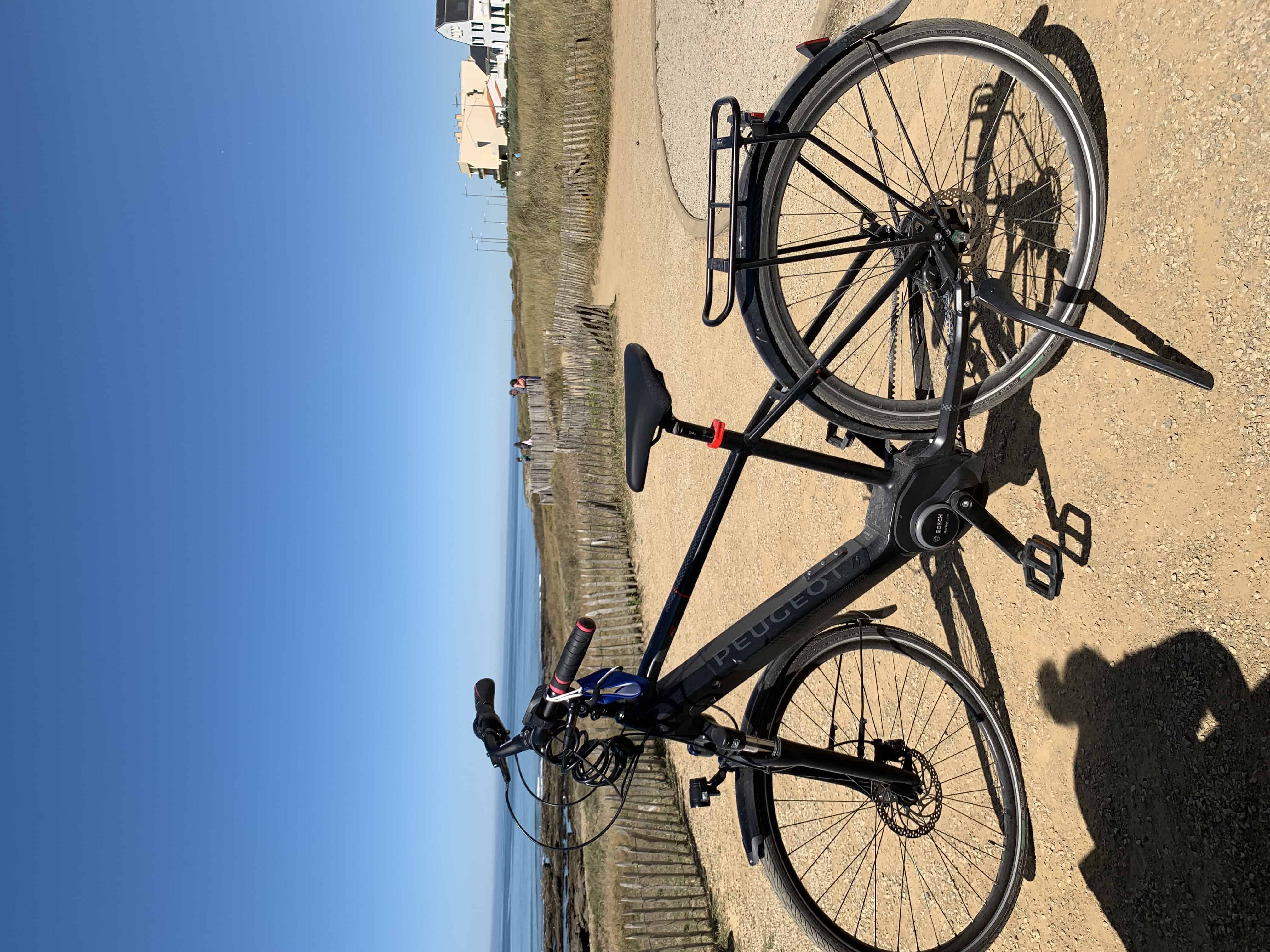 Peugeot eT01 Belt PowerTube (2020) - Xe đạp leo núi điện tử đặc biệt yên tĩnh